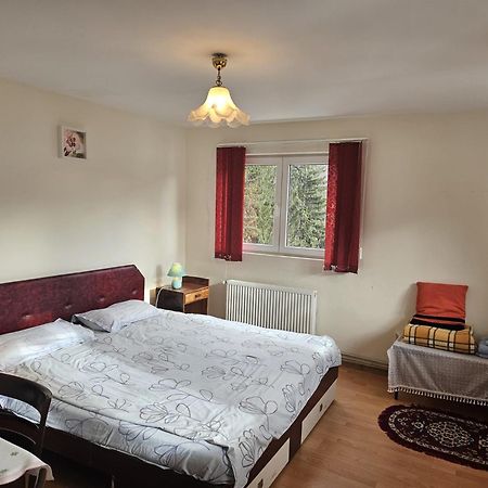 Apartament Retro-Relax Sinaia Esterno foto
