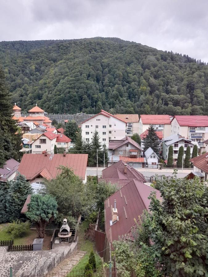 Apartament Retro-Relax Sinaia Esterno foto